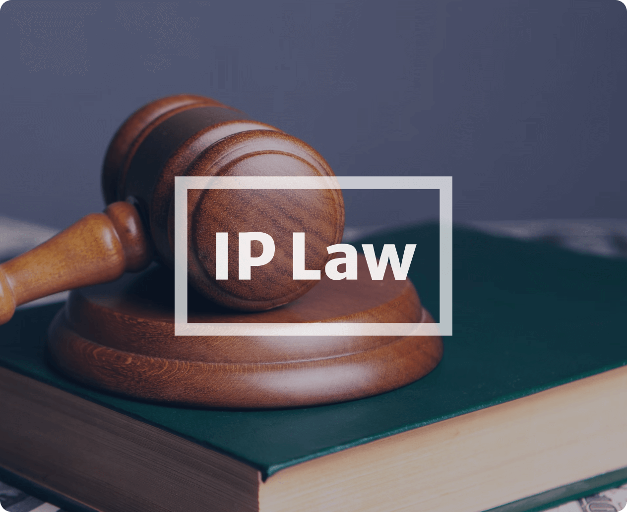 Leading NYC-based IP Law Firm
